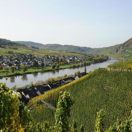 Sch Ne Wohnung In Der Moselregion Kinheim ภายนอก รูปภาพ