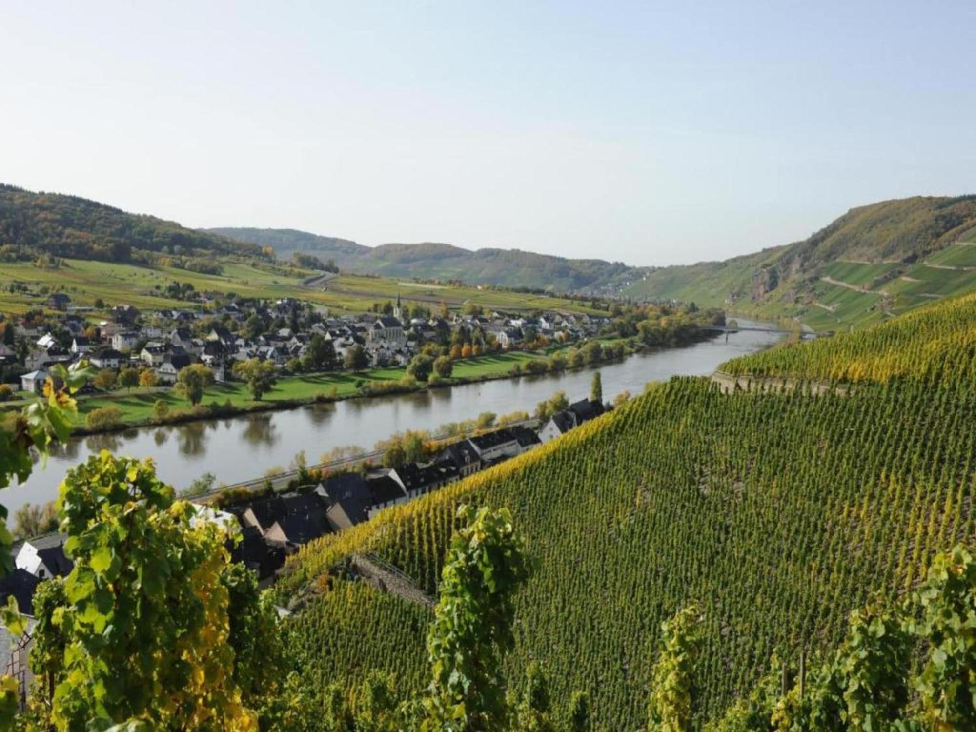 Sch Ne Wohnung In Der Moselregion Kinheim ภายนอก รูปภาพ