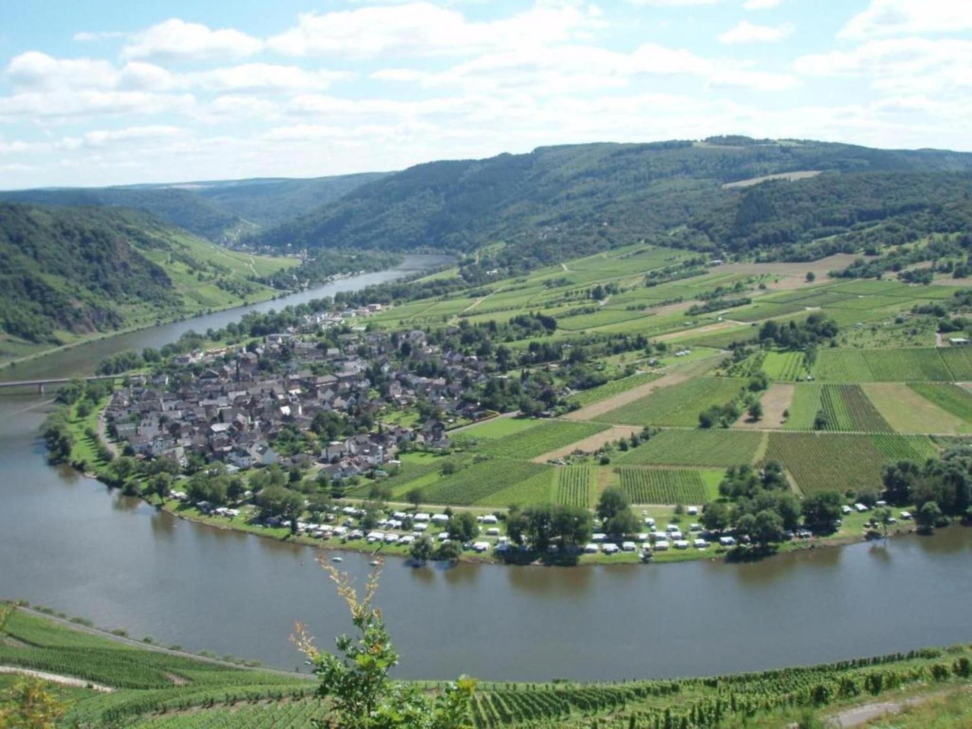 Sch Ne Wohnung In Der Moselregion Kinheim ภายนอก รูปภาพ