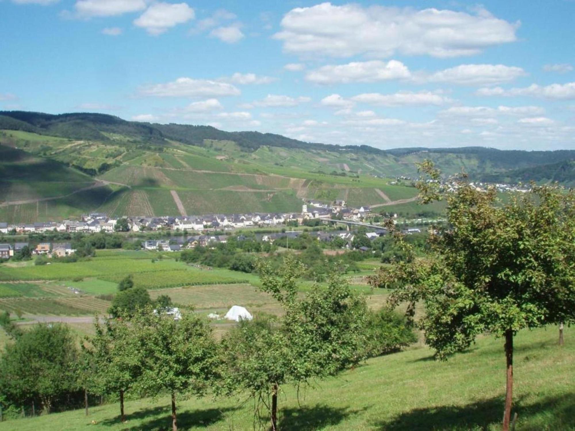 Sch Ne Wohnung In Der Moselregion Kinheim ภายนอก รูปภาพ