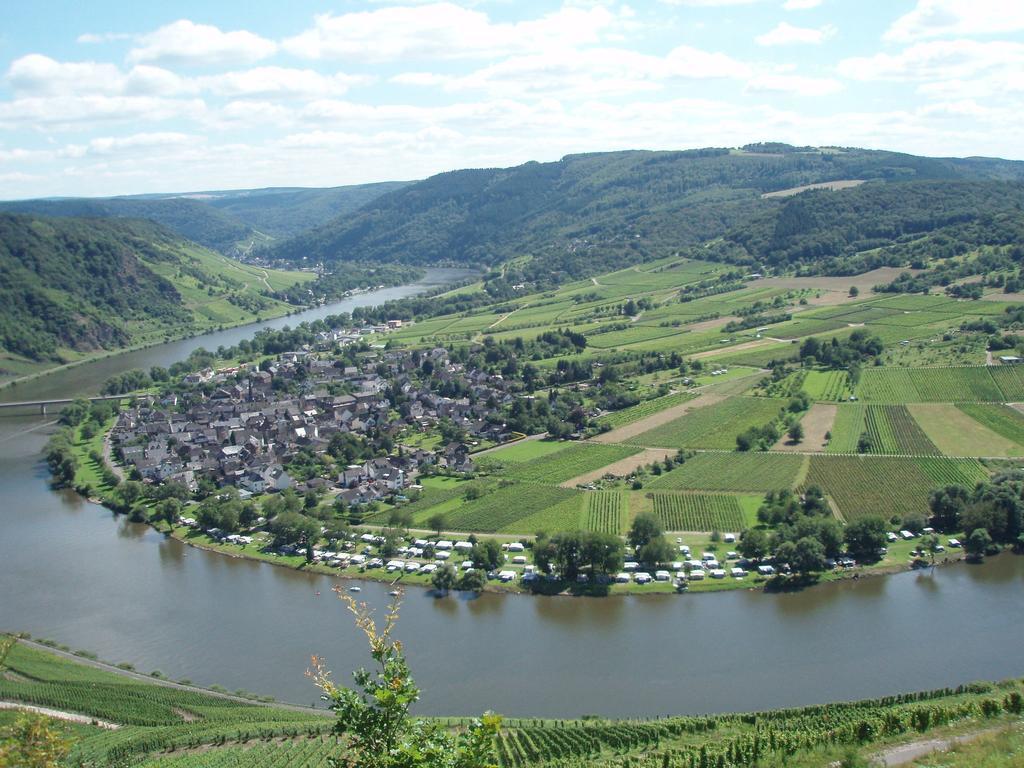 Sch Ne Wohnung In Der Moselregion Kinheim ภายนอก รูปภาพ